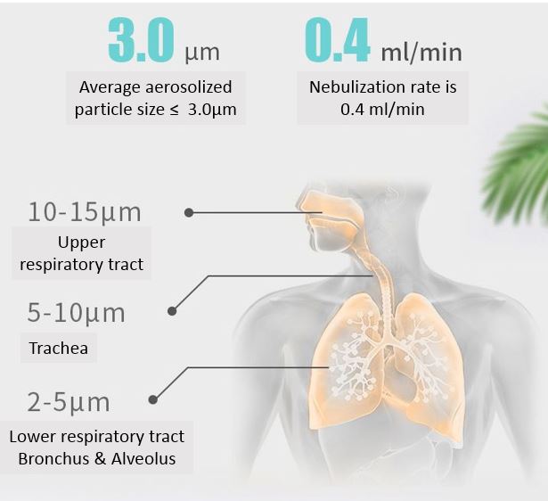 Mesh Nebulizer TECHDesign Hardware Solution